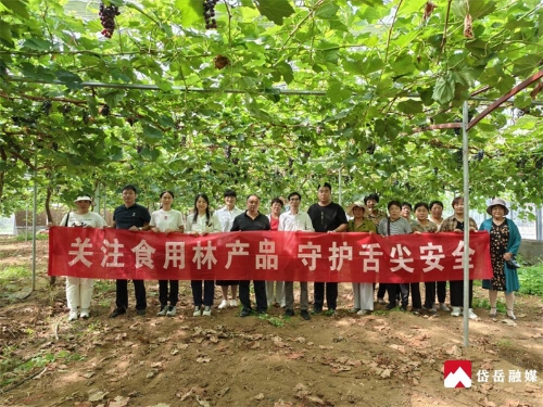 岱岳区人民政府 部门动态 岱岳区林业保护发展中心:关注食用林产品 守护舌尖安全